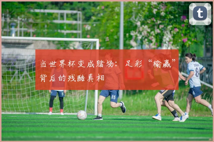 当世界杯变成赌场：足彩“输赢”背后的残酷真相