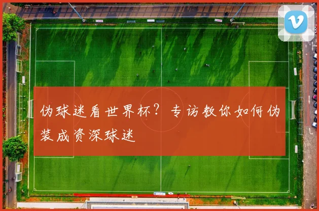 伪球迷看世界杯？专访教你如何伪装成资深球迷