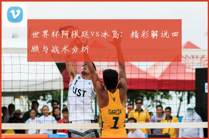 世界杯阿根廷vs冰岛：精彩解说回顾与战术分析
