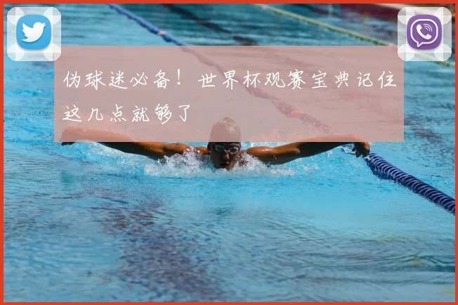 伪球迷必备！世界杯观赛宝典记住这几点就够了