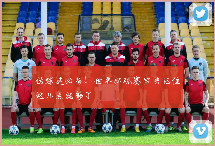 伪球迷必备！世界杯观赛宝典记住这几点就够了