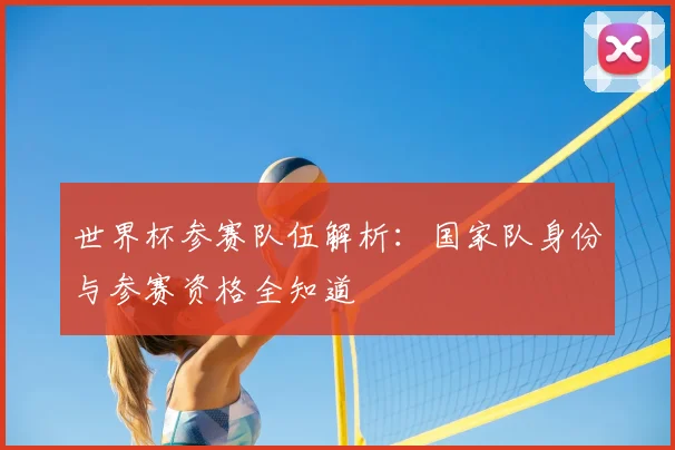 世界杯参赛队伍解析：国家队身份与参赛资格全知道